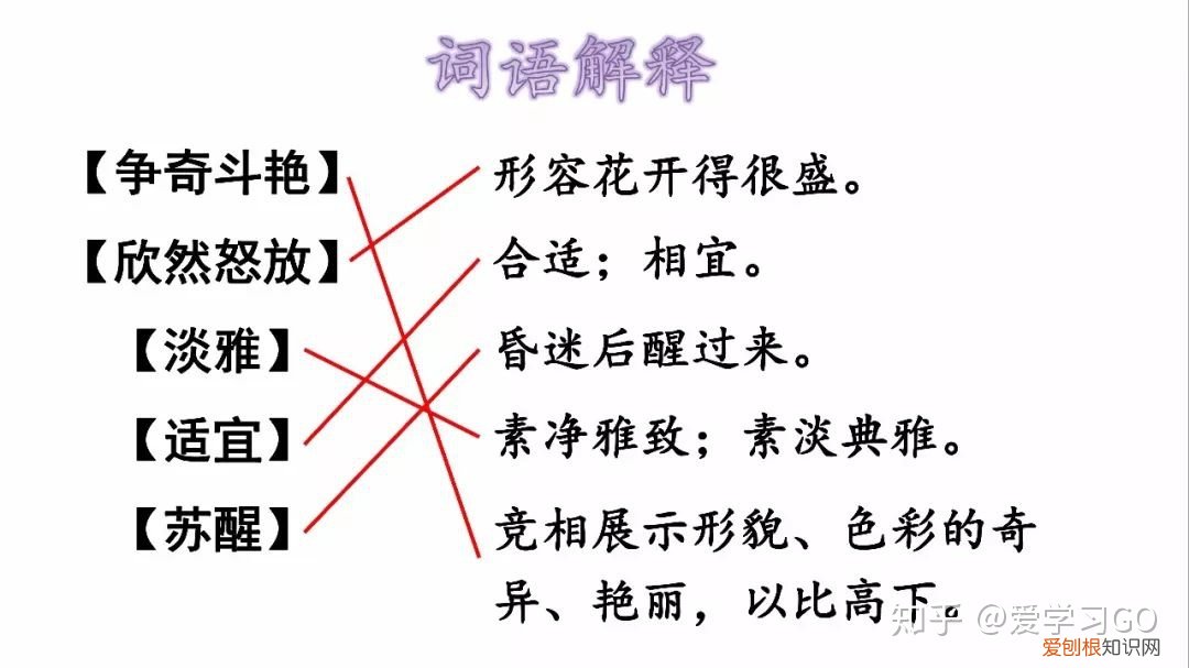 部编版三年级下册花钟第二课时教学设计，部编版三年级下册第13课《花钟》图文讲解+知识点梳理