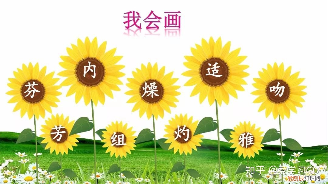 部编版三年级下册花钟第二课时教学设计，部编版三年级下册第13课《花钟》图文讲解+知识点梳理