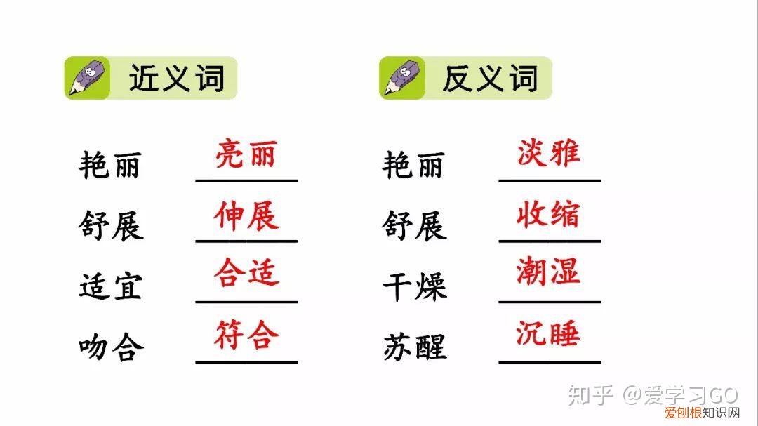 部编版三年级下册花钟第二课时教学设计，部编版三年级下册第13课《花钟》图文讲解+知识点梳理