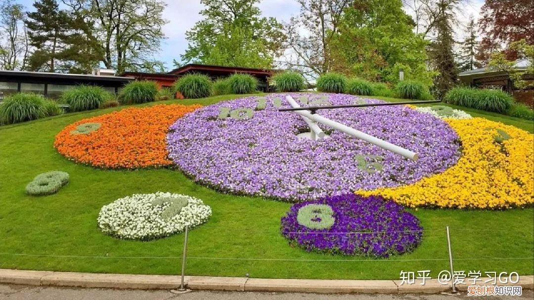 部编版三年级下册花钟第二课时教学设计，部编版三年级下册第13课《花钟》图文讲解+知识点梳理