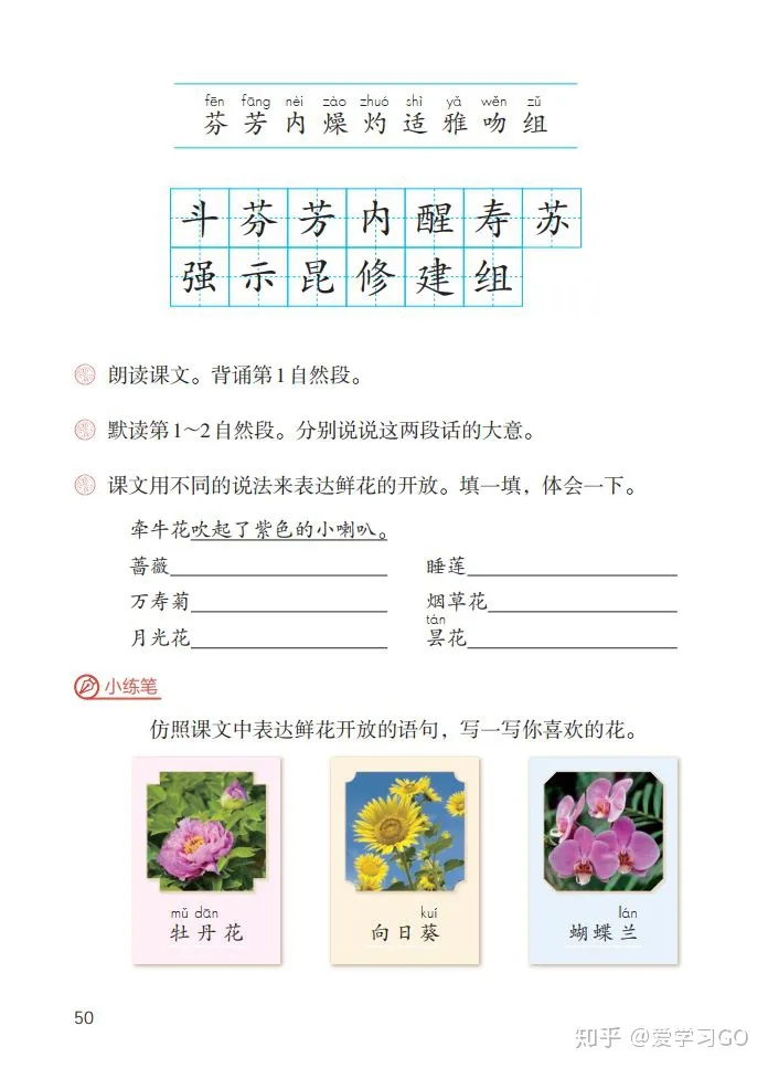 部编版三年级下册花钟第二课时教学设计，部编版三年级下册第13课《花钟》图文讲解+知识点梳理