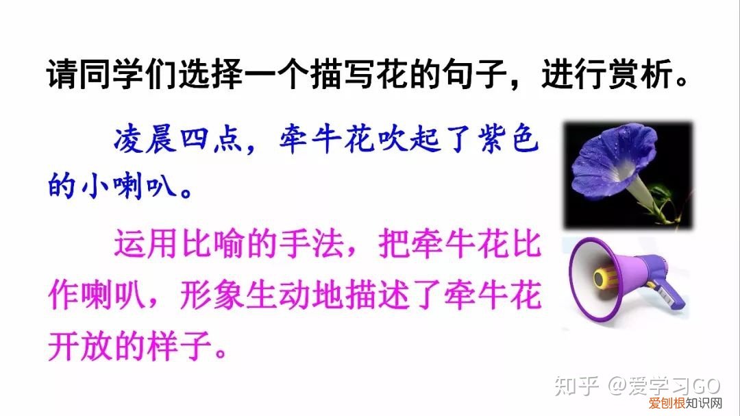 部编版三年级下册花钟第二课时教学设计，部编版三年级下册第13课《花钟》图文讲解+知识点梳理