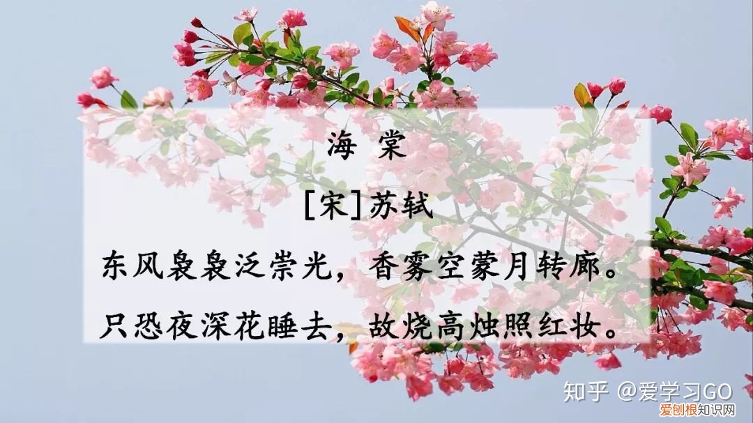 部编版三年级下册花钟第二课时教学设计，部编版三年级下册第13课《花钟》图文讲解+知识点梳理