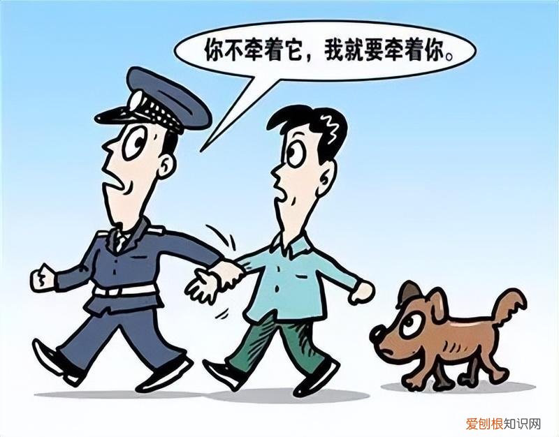 爱护流浪动物的倡议书作文，请转发！文明养犬、关爱流浪动物倡议书