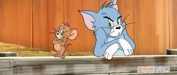 猫和老鼠故事怎么写,以《猫和老鼠》为主题的演讲应该怎样写?