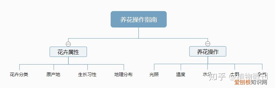 新手如何养好花盆，新手养花，入门操作指南