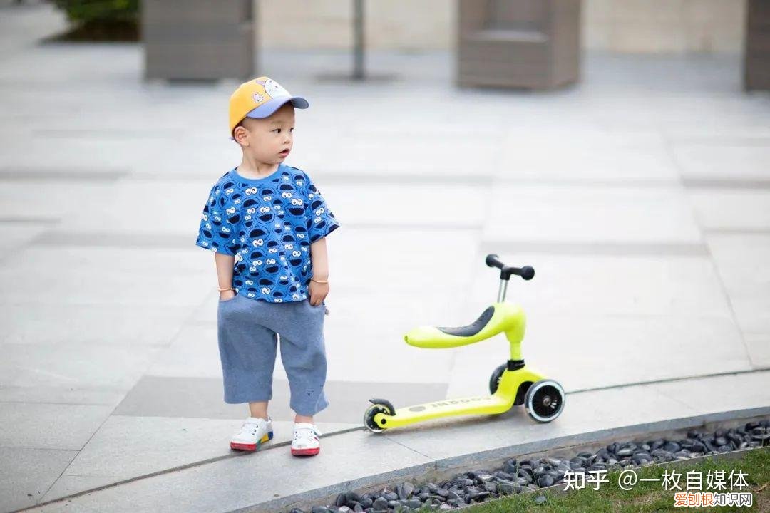 躲不掉的劫 莲生,躲不掉的“terrible two”,如何让娃变成小天使?