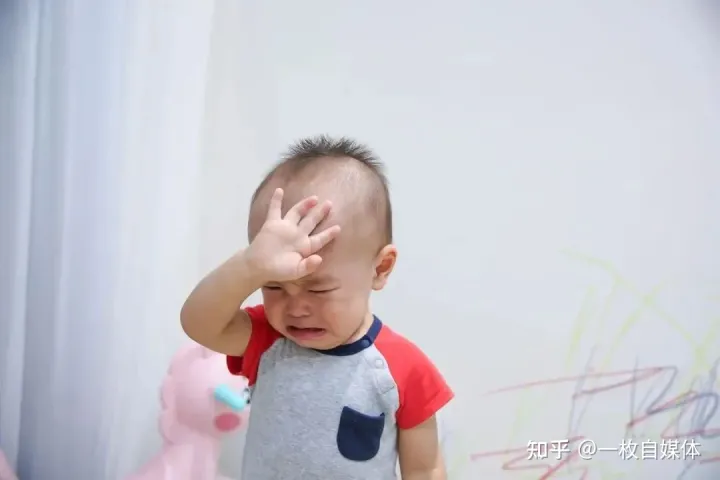 躲不掉的劫 莲生,躲不掉的“terrible two”,如何让娃变成小天使?