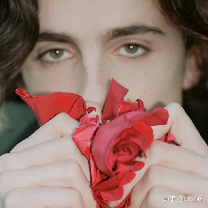 花的护理方法，花艺小知识——鲜花的保养小诀窍！