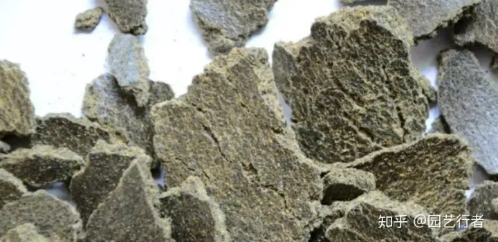 养花叶面肥，家养盆栽正确施肥，才能“叶茂、花繁、果硕”