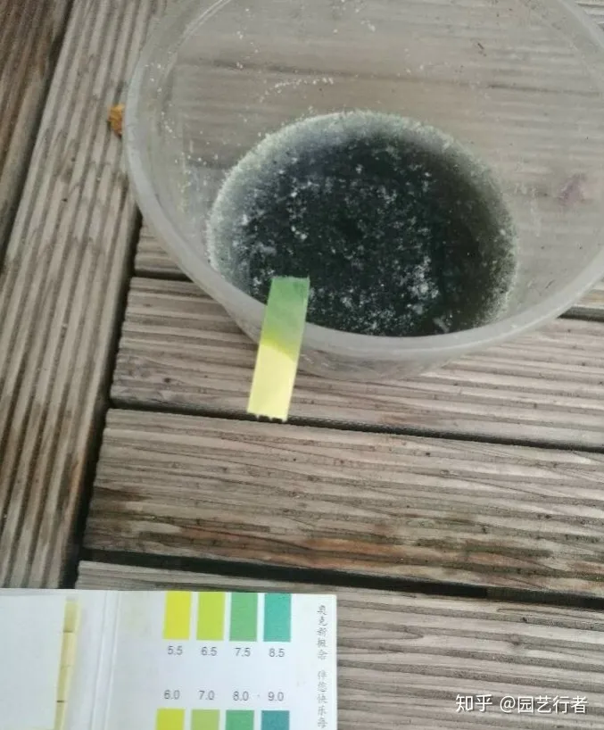 养花叶面肥，家养盆栽正确施肥，才能“叶茂、花繁、果硕”