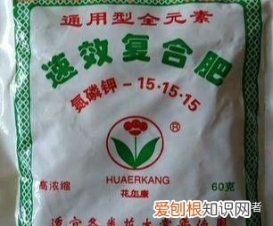 养花叶面肥，家养盆栽正确施肥，才能“叶茂、花繁、果硕”