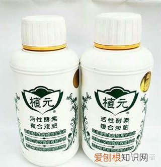 养花叶面肥，家养盆栽正确施肥，才能“叶茂、花繁、果硕”