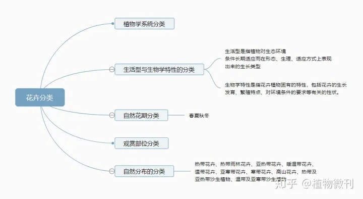 上 新手种花 建议养什么，新手养花，这些入门攻略可收好了