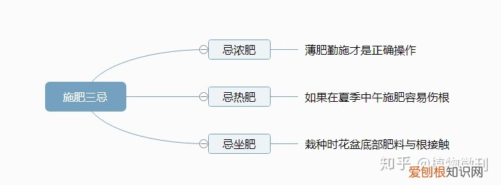 上 新手种花 建议养什么，新手养花，这些入门攻略可收好了