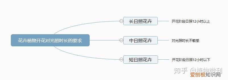 上 新手种花 建议养什么，新手养花，这些入门攻略可收好了