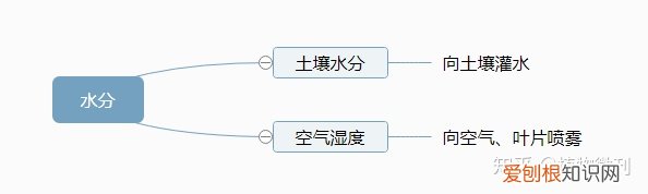 上 新手种花 建议养什么，新手养花，这些入门攻略可收好了