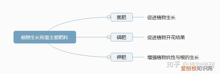 上 新手种花 建议养什么，新手养花，这些入门攻略可收好了