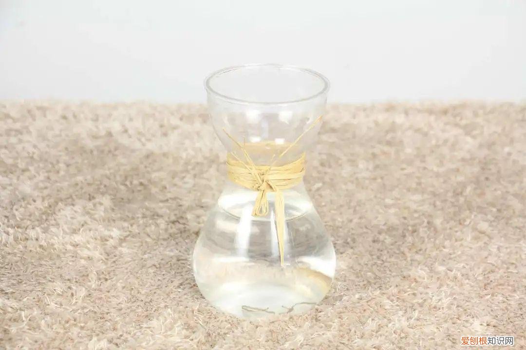 水仙花如何养殖方法,【养花知识营地】水仙花的养殖方法和注意事项