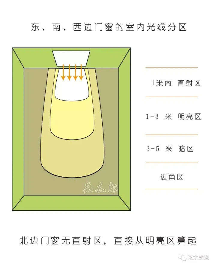 光照不足适合养什么植物图片，养花入门：正确分辨光照强弱，是你养好植物的前提