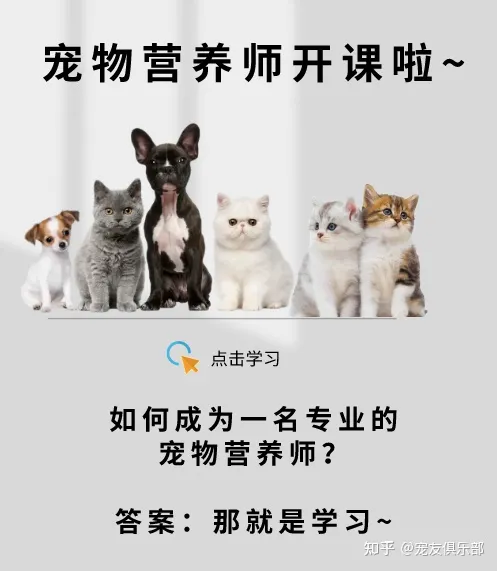 猫咪的品种大全及图片，72种猫咪品种大全图片及介绍 |