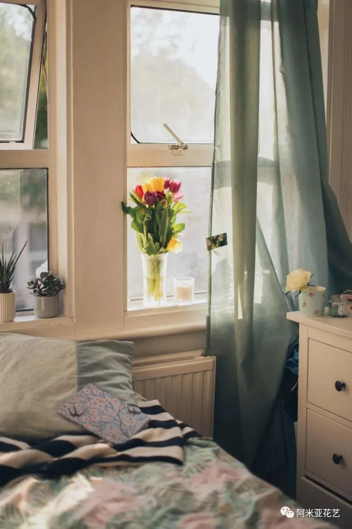 花材的认识与养护教案,花材日常养护小知识