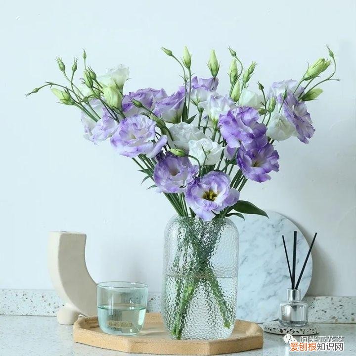 花材的认识与养护教案,花材日常养护小知识