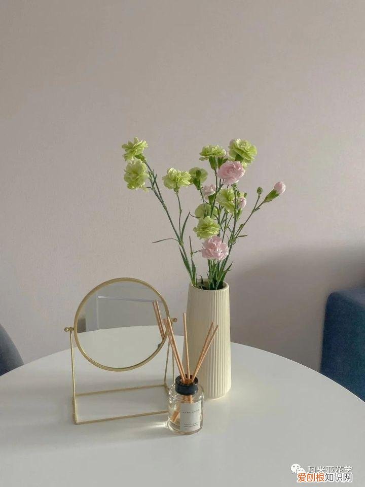 花材的认识与养护教案,花材日常养护小知识