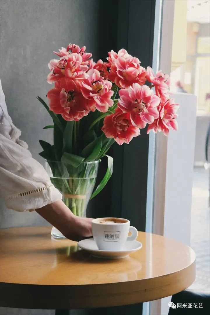 花材的认识与养护教案,花材日常养护小知识