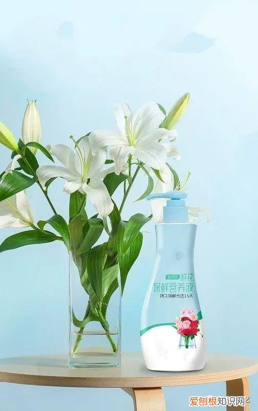 花材的认识与养护教案,花材日常养护小知识