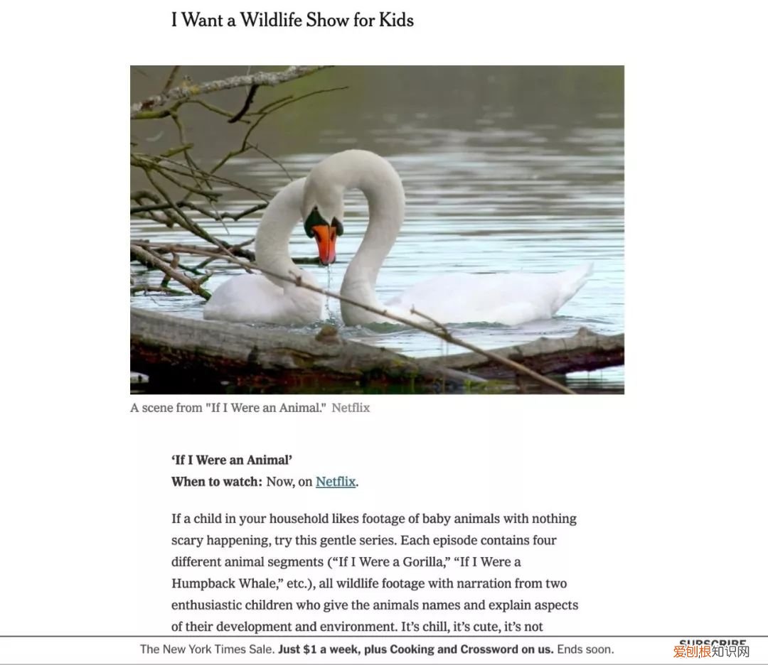 早教课程资源百度网盘,去哪儿找优质的早教动画资源?