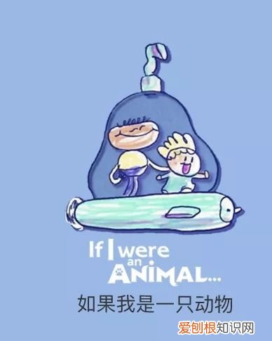 早教课程资源百度网盘,去哪儿找优质的早教动画资源?