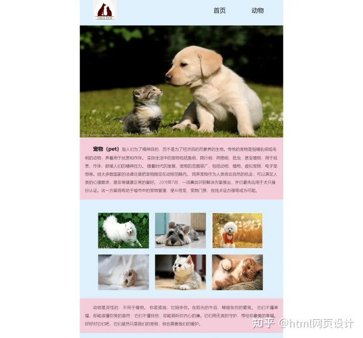 大学生html网页设计期末作品，【web前端期末大作业】制作一个HTML+CSS保护动物宠物网页