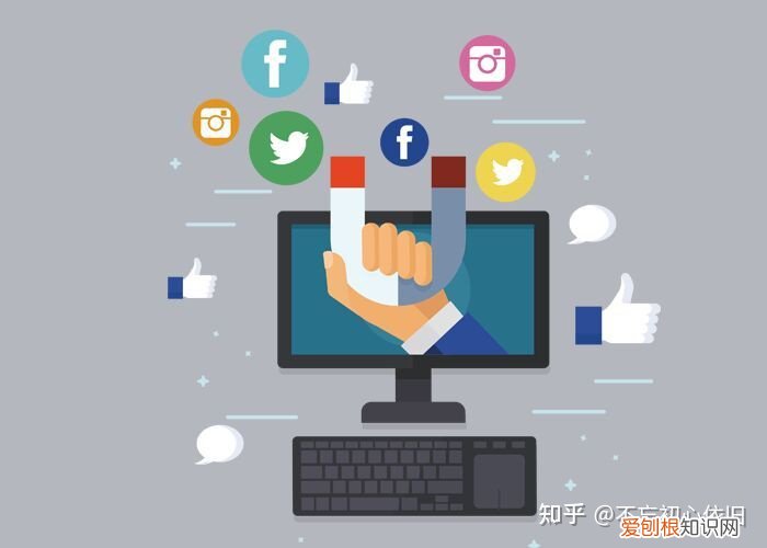 我想找一个宠物，想做一个有关宠物的网站，但是没有头绪，需要如何搭建？