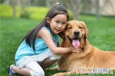 宠物自媒体赚钱吗知乎,宠物领域的自媒体怎么做?有4种变现途径!