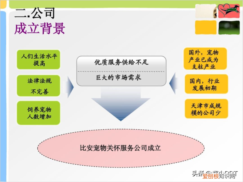 宠物ppt的背景图怎么制作，不用图，设计了一份宠物PPT，效果也很不错