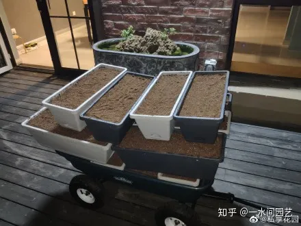 容易养活的室内盆栽花，干货| 室内养花，记住这八点，养活1000盆花！