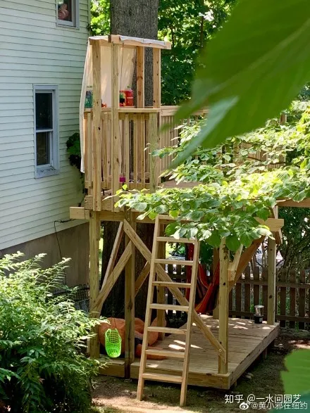 容易养活的室内盆栽花，干货| 室内养花，记住这八点，养活1000盆花！