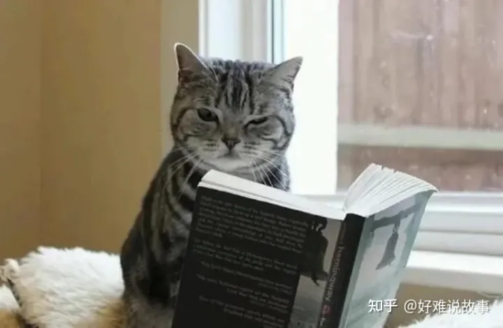 网络小说人物对话描写，网络小说中如何描写两人的对话?