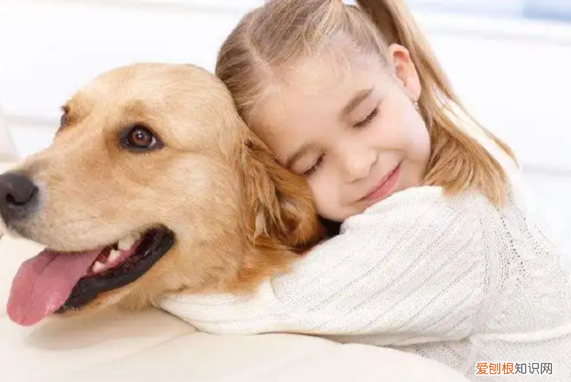 铲屎官小年年，小小“铲屎官”越来越多，儿童该如何与宠物安全相处？