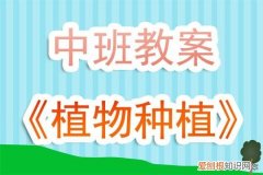 大班有趣的植物活动反思，幼儿园中班教案《植物种植》含反思