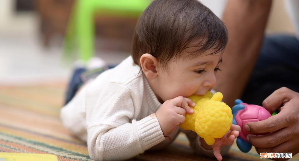 婴儿0-12个月发育特点，0-12个月育儿重点：不同阶段娃发育特点及重点培养能力，收藏