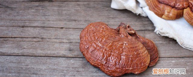 灵芝可以泡酒喝吗 灵芝能不能泡酒喝呢