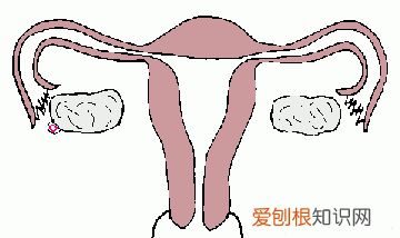 肝上去是什么意思，关于端午节的古诗