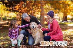 狗是来报恩的还是来报仇的 “报恩”的狗才有的特征，你家狗狗有吗？