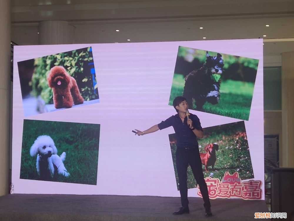 “宠爱有嘉”天津小动物保护协会专业知识讲座在嘉里汇广场举办