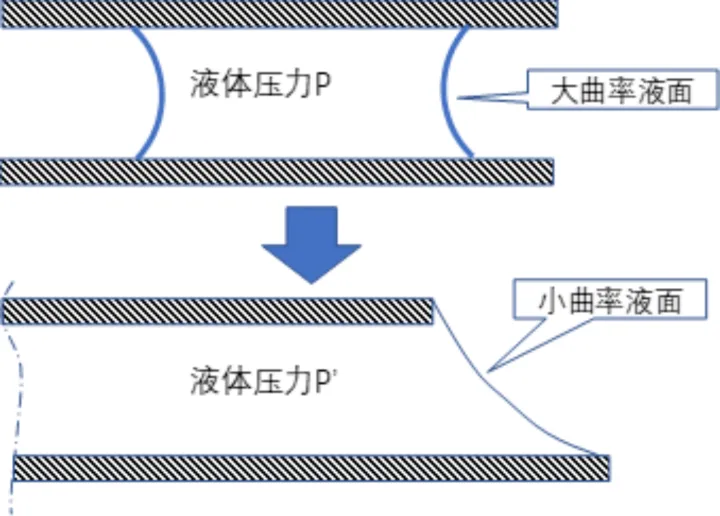 生活小常识作文600字左右，你知道的生活小常识有哪些？