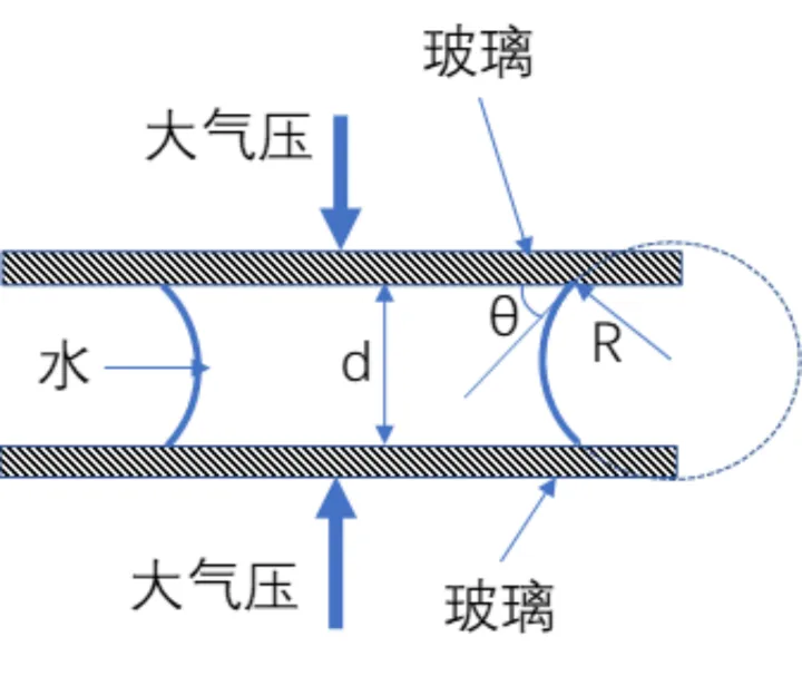 生活小常识作文600字左右，你知道的生活小常识有哪些？