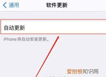 苹果怎么关闭App自动更新，苹果手机怎么关闭软件自动更新