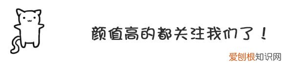 小狗对人的感情，15条狗狗冷知识，养狗多年的你，未必全知道